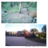 Kamera bezpieczeństwa leśna fotopułapka zewnętrzna hc-300m MMS powiadomienia email B7W