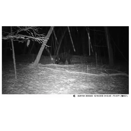 Kamera bezpieczeństwa leśna fotopułapka zewnętrzna hc-300m MMS powiadomienia email B7W